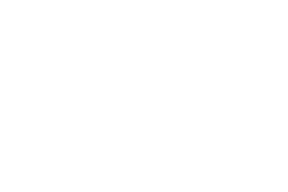 Four Wings Leather
